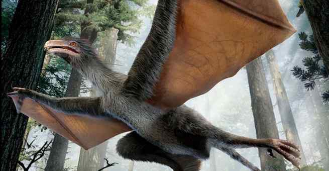 اكتشاف ديناصور خفاش في الصين