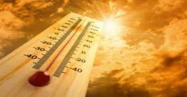موجة حارة تودي بحياة أكثر من 430 شخصا