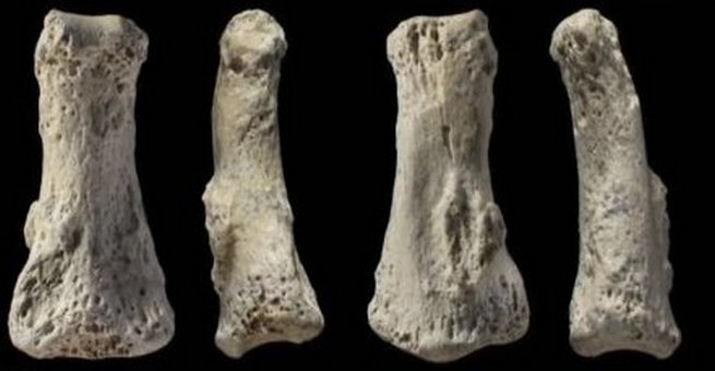 اكتشاف أقدم عظم بشري عمره 90 ألف سنة .. في السعودية