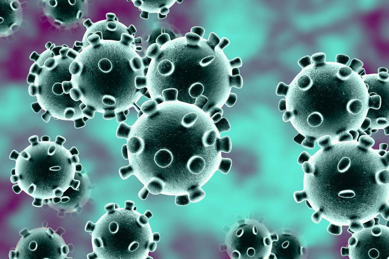 كل ما يجب أن تعرفه عن فيروس كورونا