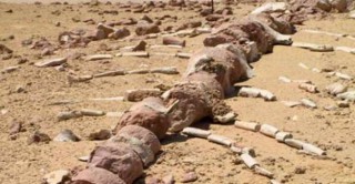 افتتاح متحف وادي الحيتان