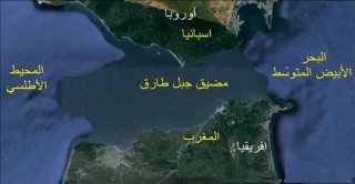 هل كان طارق بن زياد عربيا؟