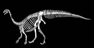 اكتشاف ديناصور جديد عمره 200 مليون عام 