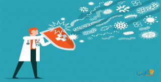 أطعمة تعزز جهاز المناعة وتساعد في الحفاظ على الصحة
