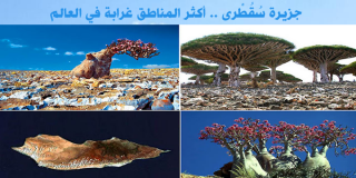 جزيرة سقطرى