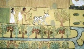 اكتشاف أثري يشرح تفاصيل الحياة اليومية في مصر الفرعونية 