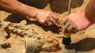 اكتشاف حفريات لأقدم الثدييات في العالم 