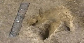 اكتشاف آثار لأقدام ديناصورات في تونس عمرها 140 مليون سنة 