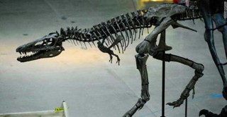 اكتشاف خلايا دم ديناصور تعود إلى 75 مليون سنة 
