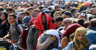كارثة أخلاقية تهز ألمانيا تخص لاجئة عربية
