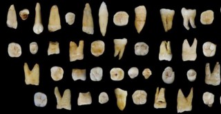 اكتشاف أسنان في كهف صيني يعيد كتابة تاريخ الإنسان 