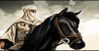 صاحب النقب