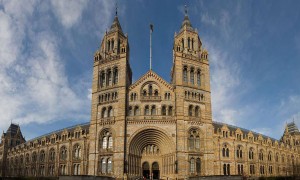 Natural_History_Museum_London